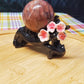 Cherry Blossom